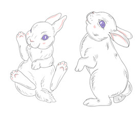 White little rabbits