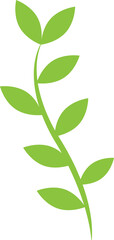 Green leaf plant tropical branch and leaves isolated png transparent file, design element, environment season.