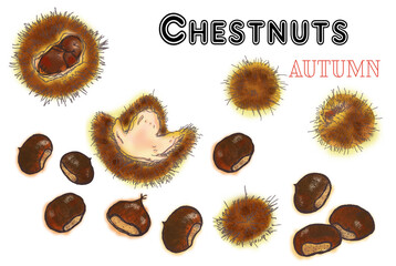 Chestnuts with skin and peeled chestnuts