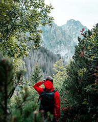 person in the forest