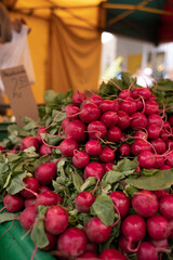 vegetables at the market