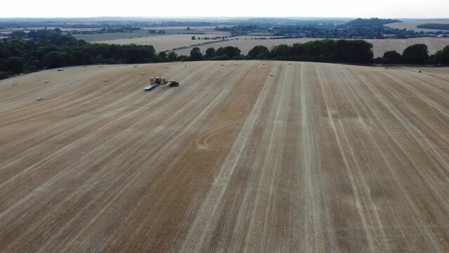 British Agricultural and Harvesting Fields Farms at Sunset Time. High Angle Footage taken with drone's camera on a hot summer day of England. Agricultural Farms and Working Machines at Dunstable Downs