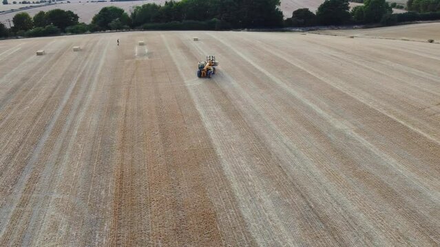 British Agricultural and Harvesting Fields Farms at Sunset Time. High Angle Footage taken with drone's camera on a hot summer day of England. Agricultural Farms and Working Machines at Dunstable Downs