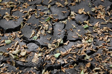 Ruisseau &agrave; sec en alsace - Lipsheim