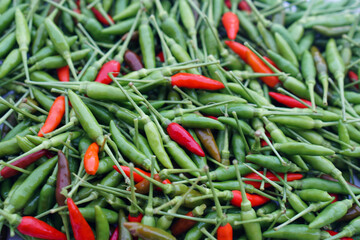 Fresh organic green and red Thai chilies background. Concept : food ingredient, spicy for cooking. Agriculture crop in Thailand.                                         