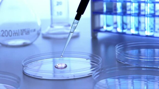 pipetta, analisi di laboratorio, chimica, test