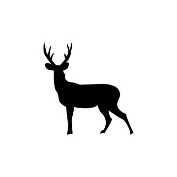  Vector black silhouette of deer, wild animal flat design.