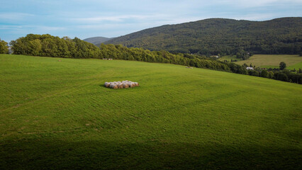 Obraz premium Bales of hay in the meadow