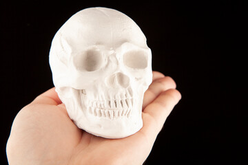 Obraz premium image of skull white background