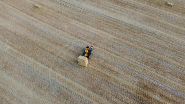 British Agricultural and Harvesting Fields Farms at Sunset Time. High Angle Footage taken with drone's camera on a hot summer day of England. Agricultural Farms and Working Machines at Dunstable Downs