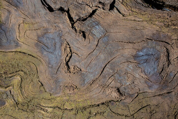 Ancient grunge and cracked wood texture, abstract background