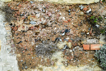 Close Up of Concrete Texture Background