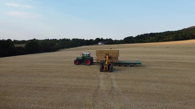 British Agricultural and Harvesting Fields Farms at Sunset Time. High Angle Footage taken with drone's camera on a hot summer day of England. Agricultural Farms and Working Machines at Dunstable Downs
