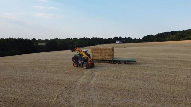 British Agricultural and Harvesting Fields Farms at Sunset Time. High Angle Footage taken with drone's camera on a hot summer day of England. Agricultural Farms and Working Machines at Dunstable Downs