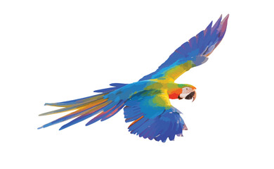 Colorful macaw parrot flying isolated on white. Vector illustration