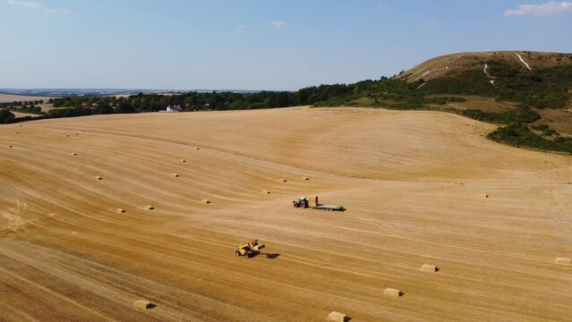 British Agricultural and Harvesting Fields Farms at Sunset Time. High Angle Footage taken with drone's camera on a hot summer day of England. Agricultural Farms and Working Machines at Dunstable Downs