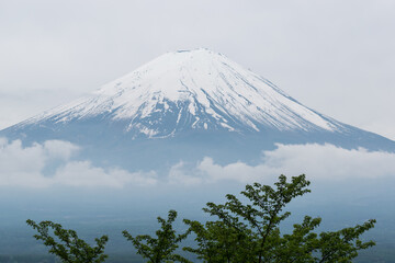 冠雪する富士山