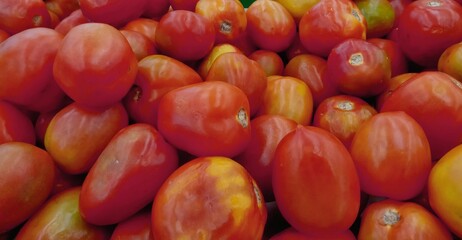 close up tomatos. sells in supermarket, selective blurred focus