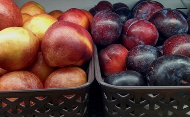plums on the black basket, sells in supermarket, dark background, selective blurred focus
