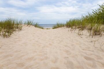 A beautiful landscape with beach and sand dunes near the Baltic sea