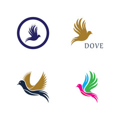 Bird wing dove logo template