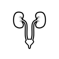 urology design vector flat isolated illustration