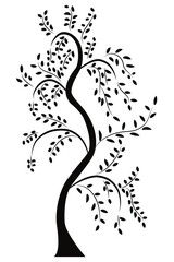 Tree, Silhouette of tree on white background