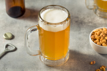Boozy Refreshing Cold Craft Beer in a Mug
