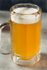 Boozy Refreshing Cold Craft Beer in a Mug