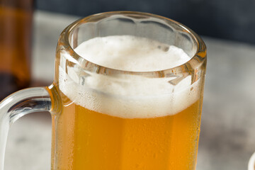 Boozy Refreshing Cold Craft Beer in a Mug