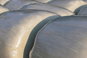Background of plastic wrapped hay bales