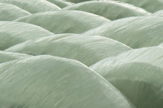 Background of plastic wrapped hay bales