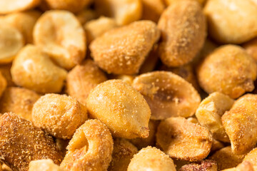 Organic Salted Beer Bar Nuts