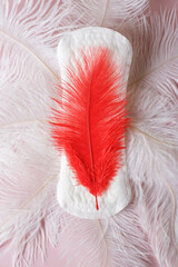 Women's sanitary napkin for the menstrual period with a red feather on a background of white feathers