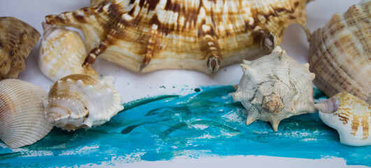 Obraz na płótnie Canvas Animal Shell, Summer vacation background, marine pattern.
