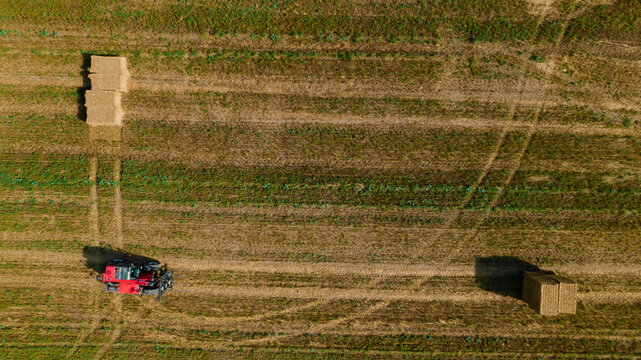 Agricultural tractor collect wheat straw into briket for transportation. Aerial view. Agricultural machinery