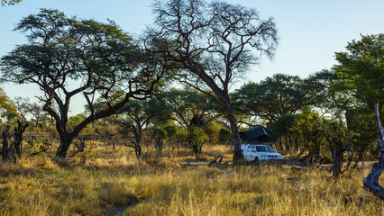 Overlanding in Botswana 