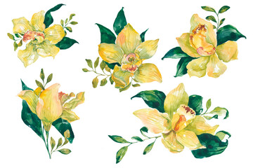 Watercolor yellow orchids. Tropical flowers, branches, and leaves isolated on white background. Floral illustration for design, print, fabric, or background