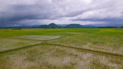 Obraz premium Aerial view of a nature landscape