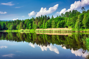 Fototapeta na wymiar Beautiful summer scenery with the lake in Lower Silesia. Poland