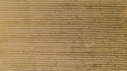 Agricultural field top aerial view. Field with haystacks. Agriculture harvest concept.