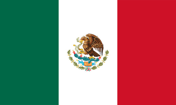 illustrator vector of Mexico. vector image of Mexico flag. EPS 10
