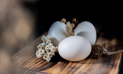 native chicken eggs on black background
