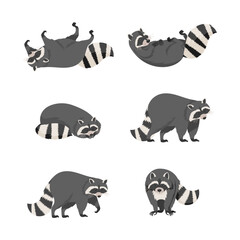 Set of cute gray raccoons in everyday activities cartoon vector illustration