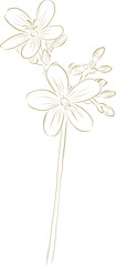 Golden luxury flower illustration design