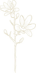 Golden luxury flower illustration design