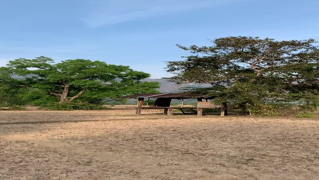 Champs &agrave; Kong Lor - Laos
