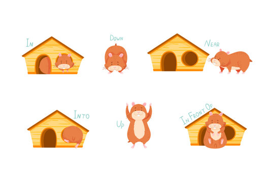 Furry Brown Hamster with Wooden House Demonstrating English Preposition of Movement Vector Set