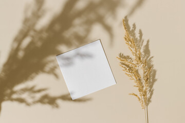 Empty mockup paper card with dry grass and shadows, top view, flat lay. Aesthetic minimal style, card with copy space for business, social media template, invitation and greeting