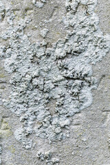 Cracked Plaster Urban Decay Texture Background